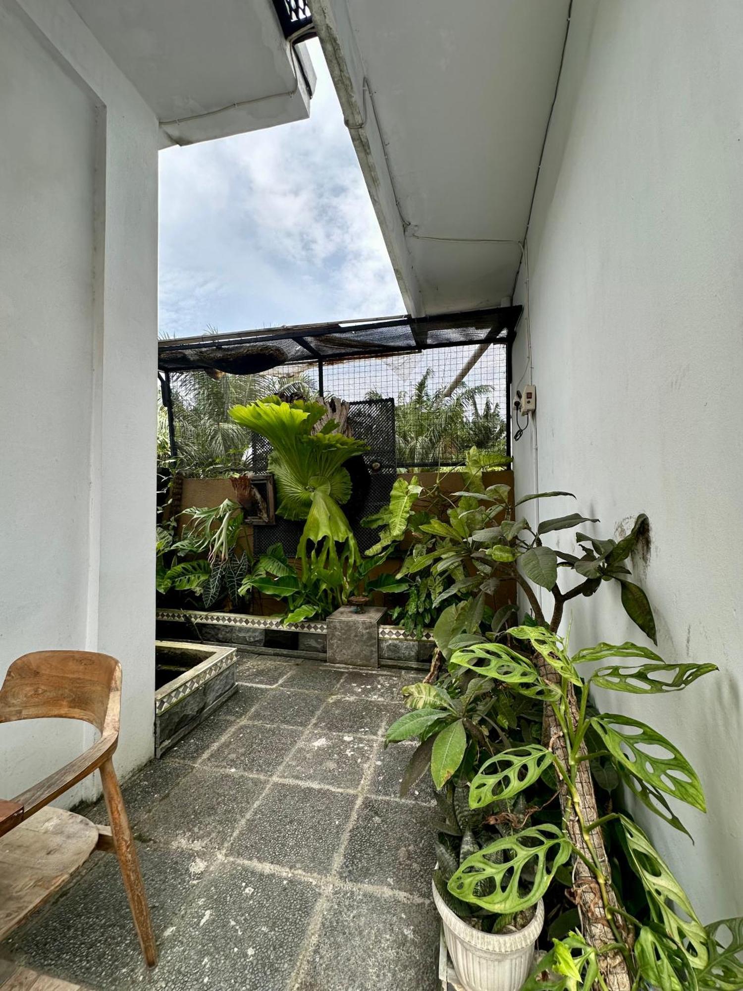 Rumah Kita تْشانغو المظهر الخارجي الصورة